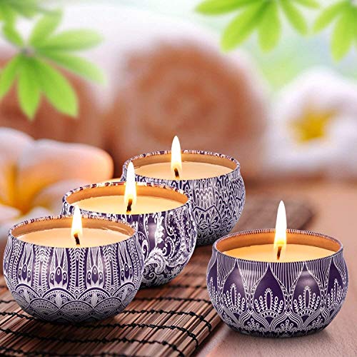 Hausware Scented Candles Set of 4 Pack,4X4.4 oz Vanilla Lavender Lemon Apple &Cinnamon,Candle Scented for Gift Set, Birthday,Father's Day & Mother's Day