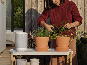 Sonos Move - Battery-Powered Smart Speaker, Wi-Fi And Bluetooth With Alexa Built-In - Lunar White