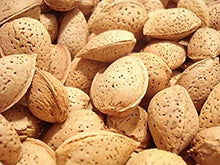 Load image into Gallery viewer, Natural In Shell Raw California Almonds (2 Lbs) | Pure Goodness Bursting with Natural Flavors | Delicious and Healthy for Snacking | By Farm Fresh Nuts
