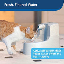 Load image into Gallery viewer, PetSafe Drinkwell Mini Pet Fountain for Cats and Small Dogs – Filtered Water – Filter Included, PWW00-14402
