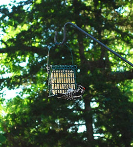 St. Albans Bay Suet Plus High Energy Suet Cakes, 20 Pack of 11 oz. Suet Cakes for Wild Birds