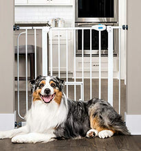 Load image into Gallery viewer, Carlson Extra Wide Walk Through Pet Gate with Small Pet Door, Includes 4-Inch Extension Kit, Pressure Mount Kit and Wall Mount Kit
