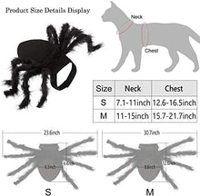 Load image into Gallery viewer, N3 2020 Updated Version Product Halloween Spider Pet Costume，Halloween Horror Simulation Plush Big Spider Wings Dress Up Funny Party for Dogs or Cats (M)
