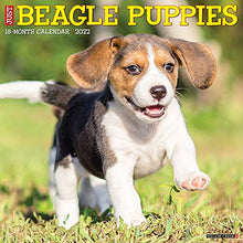 Load image into Gallery viewer, Just Beagle Puppies 2022 Wall Calendar (Dog Breed)
