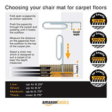 Load image into Gallery viewer, AmazonBasics Polycarbonate Carpet Chair Floor Mat with Lip - 47&#39;&#39; x 35&#39;&#39;
