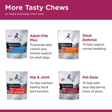 Load image into Gallery viewer, Nutri-Vet Pre and Probiotic Soft Chews for Dogs | Digestive Health Support Dog Probiotics | Tasty Alternative to Dog Probiotic Powder | 120 Soft Chews
