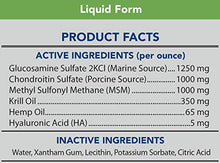 Load image into Gallery viewer, Grizzly All-Natural Joint Health for Dogs, 16 oz | Enhanced with Hemp Oil, Extra Strength Liquid Hip and Joint Support, Made in USA

