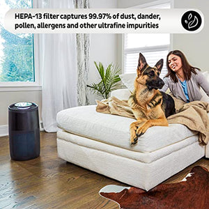 Instant Air Purifier, Helps remove 99.9% of viruses (COVID-19), bacteria, allergens, smoke; advanced 3-in-1 HEPA-13 filtration with plasma ion technology, Large Room (AP300), Charcoal