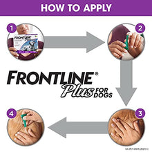 Load image into Gallery viewer, Frontline Plus Flea and Tick Treatment for Dogs (Large Dog, 45-88 Pounds, 3 Doses)

