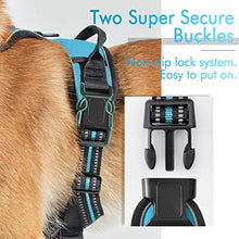 Load image into Gallery viewer, rabbitgoo Dog Harness, No-Pull Pet Harness with 2 Leash Clips, Adjustable Soft Padded Dog Vest, Reflective No-Choke Pet Oxford Vest with Easy Control Handle for Medium Dogs, Green, M
