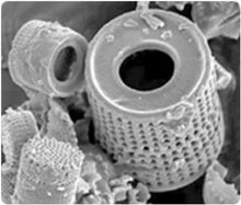 Load image into Gallery viewer, Food Grade Diatomaceous Earth -1 Pound - Non-Toxic Organic, Powder-Safe for Humans, Dogs and Cats
