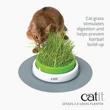 Load image into Gallery viewer, Catit Senses 2.0 Cat Grass Planter, Interactive Cat Toys
