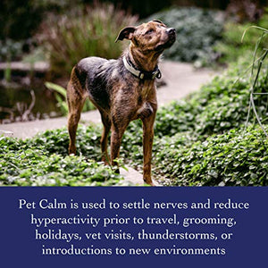 Richard’s Organics Pet Calm - Naturally Relieves Stress and Anxiety in Dogs and Cats - 100% Natural, Drug-Free, Settles Nerves and Reduces Hyperactivity (2 oz. Bottle with Dropper)