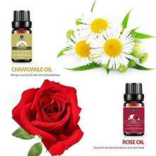 Load image into Gallery viewer, Lagunamoon Premium Essential Oils Set,Top 20 Pure Natural Aromatherapy Oils Lavender Frankincense Peppermint Rose Rosemary Sandalwood
