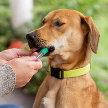 Load image into Gallery viewer, Embark | Dog DNA Test | Breed &amp; Health Kit | Breed Identification &amp; Canine Genetic Health Screening
