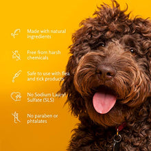 Load image into Gallery viewer, Arm &amp; Hammer Super Deodorizing Shampoo For Dogs - Odor Eliminating Dog Shampoo For Smelly Dogs &amp; Puppies With Arm &amp; Hammer Baking Soda -- Kiwi Blossom Scent, 20 Fl Oz
