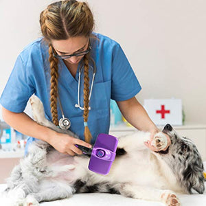 GM Pet Supplies Self Cleaning Slicker Brush | This is The Best Dog and Cat Brush for Shedding and Grooming | Our Pet Brushes Are Suitable for All Hair Lengths