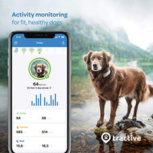 Load image into Gallery viewer, Tractive Waterproof GPS Dog Tracker - Location &amp; Activity, Unlimited Range &amp; Works with Any Collar (Beige - Newest Model)
