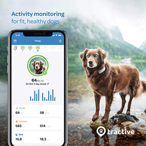Tractive Waterproof GPS Dog Tracker - Location & Activity, Unlimited Range & Works with Any Collar (Beige - Newest Model)