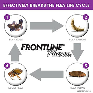 Frontline Plus Flea and Tick Treatment for Dogs (Large Dog, 45-88 Pounds, 3 Doses)