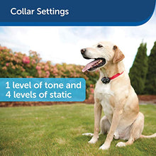 Load image into Gallery viewer, PetSafe Wireless Pet Containment System Receiver Collar for Dogs and Cats Over 5 lb, Waterproof with Tone and Static Correction
