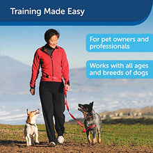 Load image into Gallery viewer, PetSafe Treat &amp; Train Manners Minder Remote Reward Dog Trainer
