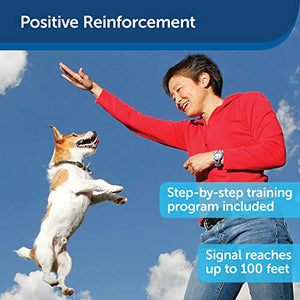 PetSafe Treat & Train Manners Minder Remote Reward Dog Trainer