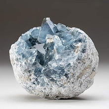 Load image into Gallery viewer, Astro Gallery of Gems Blue Celestite Cluster Geode from Sankoany, Ketsepy Mahajanga, Madagascar (3.5 lbs) - BC60
