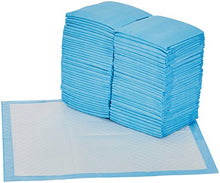 Load image into Gallery viewer, AmazonBasics Dog and Puppy Pee, Potty Training Pads, Regular (24 x 23 Inches) - Pack of 80
