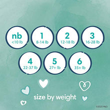 Load image into Gallery viewer, Pampers Pure Protection Newborn Diapers Size 1 132 Count
