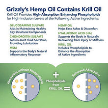 Load image into Gallery viewer, Grizzly All-Natural Joint Health for Dogs, 16 oz | Enhanced with Hemp Oil, Extra Strength Liquid Hip and Joint Support, Made in USA
