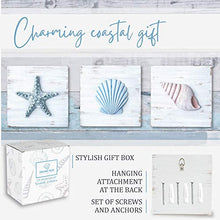 Load image into Gallery viewer, Seashell Wall Decor sets - Rustic Pastels and Coastal Blue
