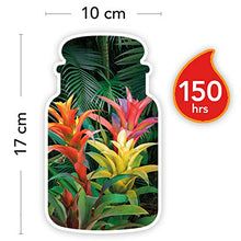 Load image into Gallery viewer, Yankee Candle 5038581033709 jar Large Tropical Jungle YSDTJ, one Size
