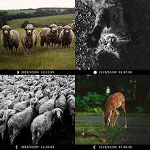 Load image into Gallery viewer, Campark Mini Trail Camera 16MP 1080P HD Game Camera Waterproof Wildlife Scouting Hunting Cam with 120° Wide Angle Lens and Night Vision 2.0” LCD IR LEDs
