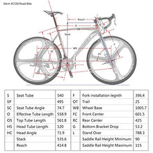 Load image into Gallery viewer, EUROBIKE Road Bike TSM550 Bike 21 Speed Dual Disc Brake 54CM 700C 3-Spoke Wheels Road Bicycle
