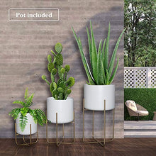 Load image into Gallery viewer, Floor Standing Planters with Metal Stand Pack of 3, White Plant Pot with Gold Metal Stand, Matches Mid Century Modern Living Rooms, Container Box for Patio, Deck, Porch, Garden, Lawn(White)
