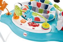 Load image into Gallery viewer, Fisher-Price Color Climbers Jumperoo
