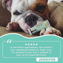 Load image into Gallery viewer, Natural Dog Company Snout Soother Trial Stick (0.15 oz) | Dog Nose Balm for All Breeds and Sizes | Protects and Heals Chapped, Rough, and Dry Noses | Vegan and Organic Skin Soother for Canine Snouts
