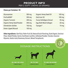 Load image into Gallery viewer, PetHonesty Hemp Hip &amp; Joint Supplement for Dogs - Hemp Oil &amp; Hemp Powder - Glucosamine Chondroitin for Dogs Turmeric, MSM, Green Lipped Mussel, Dog Treats Improve Mobility, Reduces Discomfort - Duck
