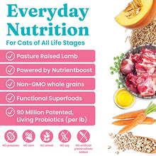 Load image into Gallery viewer, Solid Gold NutrientBoost Katz N Flocken - Dry Cat Food with Lamb, Rice &amp; Pearled Barley - Digestive Probiotics for Cats - Gut Health &amp; Immune Support - Grain Free - Superfood &amp; Antioxidant Support
