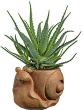 Load image into Gallery viewer, Classic Home and Garden 9/3471R/1 Snail Planter, Small, Rust
