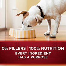 Load image into Gallery viewer, Purina ONE Natural, High Protein Gravy Wet Dog Food, SmartBlend True Instinct Turkey &amp; Game Bird - (12) 13 oz. Cans

