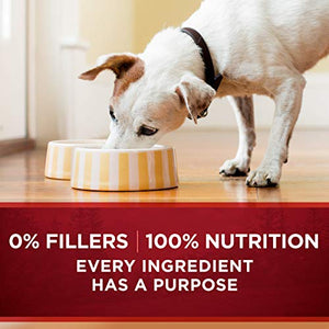 Purina ONE Natural, High Protein Gravy Wet Dog Food, SmartBlend True Instinct Turkey & Game Bird - (12) 13 oz. Cans