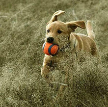 Load image into Gallery viewer, Chuckit! Ultra Ball Dog Toy, Various Sizes
