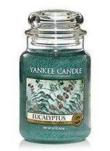 Load image into Gallery viewer, Yankee Candle Eucalyptus Large Jar Candle, 22-Ounce by Yankee Candle Company
