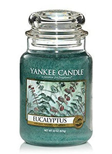 Yankee Candle Eucalyptus Large Jar Candle, 22-Ounce by Yankee Candle Company