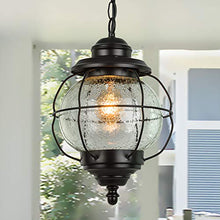Load image into Gallery viewer, LALUZ Outdoor Hanging Lantern Porch Painted Black Metal with Clear Bubbled Glass Globe in Iron Cage Frame, 1-Light Light, 10.2&quot; Exterior Pendant Lighting for Garage
