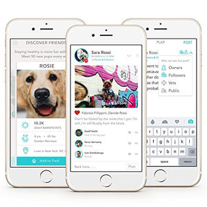 FitBark 2 Dog Activity Monitor | Health & Fitness Tracker for Dogs | Waterproof, Small & Leightweight (10 g) | Not a GPS Tracker