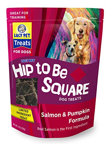 Lucy Pet Hip To Be Square Salmon And Pumpkin Dog Treats 6Oz