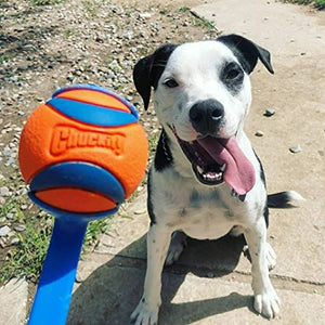 Chuckit! Ultra Ball Dog Toy, Various Sizes